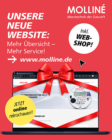 WDV Molliné: Unsere neue Website ist live! 🚀