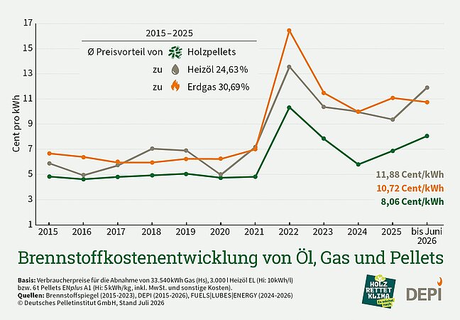 DEPI: Brennstoffkostenentwicklung von Öl, Erdgas und Pellets