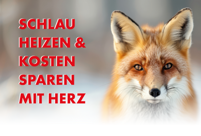 SCHLAU HEIZEN & KOSTEN SPAREN MIT HERZ 