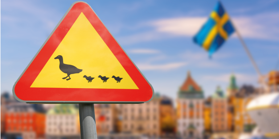 HERZ: DIE ENTE LEGT DEN KESSEL LAHM