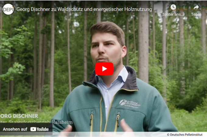 DEPI: Georg Dischner über Waldschutz & energetische Holznutzung