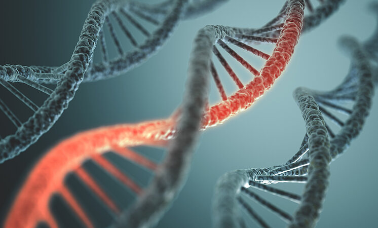 Rein, Reinraum, WOLF:  Gentherapeutika-Hersteller Viralgen setzt auf RLT-Technik von WOLF