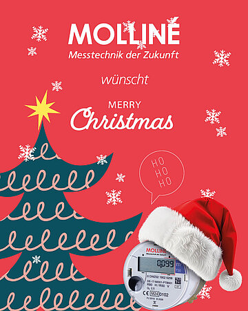Wir vom Team-Molliné wünschen besinnliche und frohe Weihnachten! 