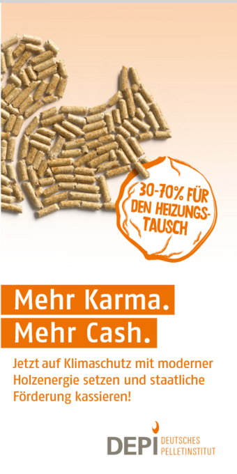 DEPI: Flyer „Mehr Karma. Mehr Cash.“ 