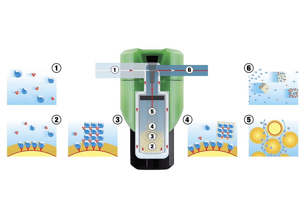 Wirkprinzip der BIOCAT Kalkschutzanlage: 1) gelöster Kalk im Trinkwasser, 2) Katalysator-Granulat in der BIOCAT Anlage, 3) Die Calcium- und Carbonat-Ionen werden von Andockstellen des Granulates eingefangen und ohne Zugabe chemischer Stoffe zu kleinsten Kalkkristallen zusammengefügt. 4) Ab einer gewissen Größe lösen sich die Kalkkristalle durch den Wasserstrom von der Oberfläche des Granulates ab, werden 5) mit jeder Wasserentnahme aus der Kartusche im gesamten Rohrleitungssystem verteilt und 6) über den Volumenstrom letztlich ausgespült. Copyright: WATERCryst Wassertechnik GmbH