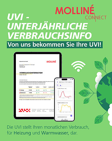 WDV Molliné: Bereitstellung Ihrer UVI über Molliné Connect -