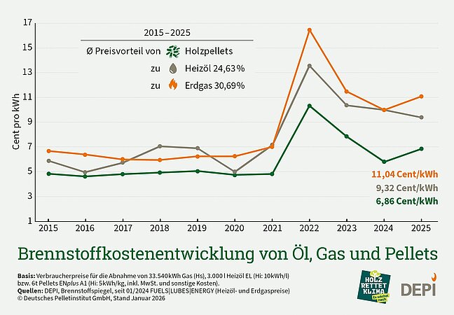 DEPI: Brennstoffkostenentwicklung von Öl, Erdgas und Pellets