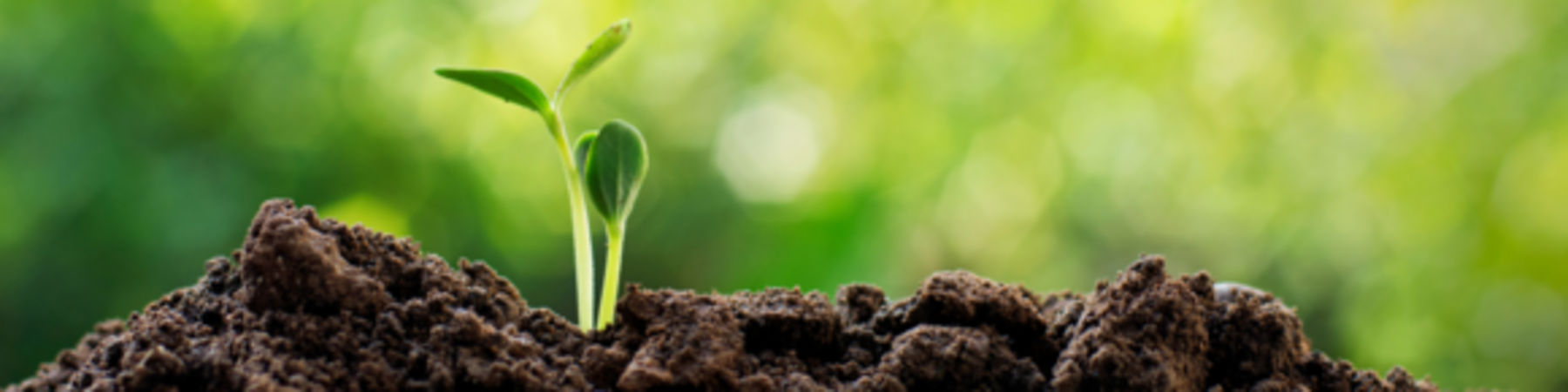 SANHA: EPDs - Ohne geht’s bald nicht mehr!