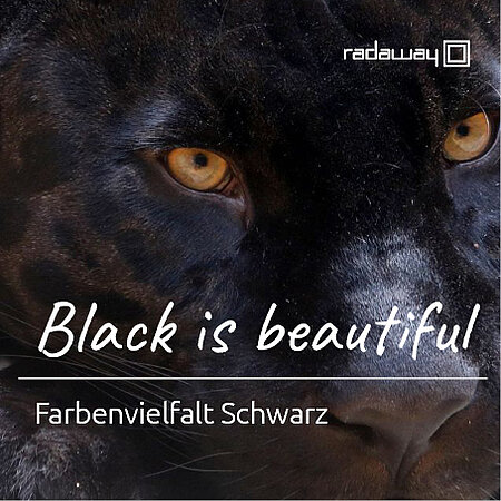 RADAWAY: Schwarze Duschkabinen: exklusive Highlights werden zum Standard